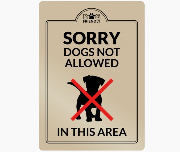 Sorry No Dogs Allowed in this Area Sign - Gold