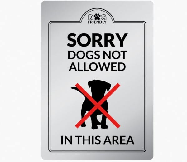 Sorry No Dogs Allowed in this Area Sign - Silver